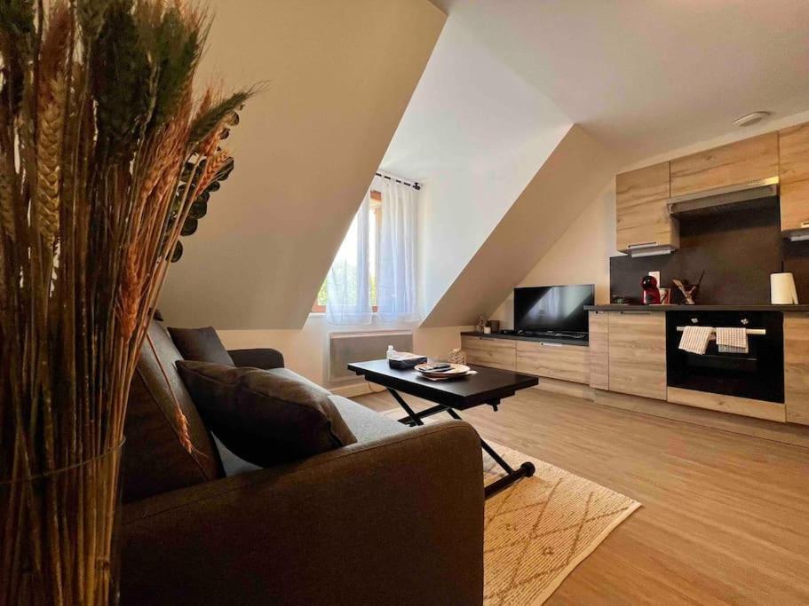 Appartement Centre-Ville / 6 Prsn / Bord Du Doubs / Au Pied De La Citadelle Безансон Екстер'єр фото