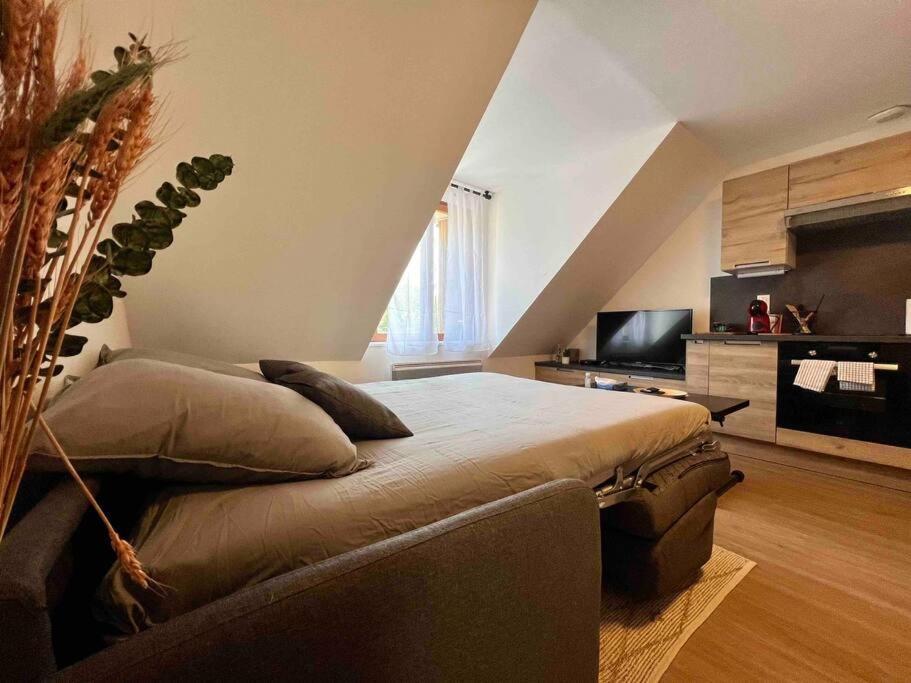 Appartement Centre-Ville / 6 Prsn / Bord Du Doubs / Au Pied De La Citadelle Безансон Екстер'єр фото